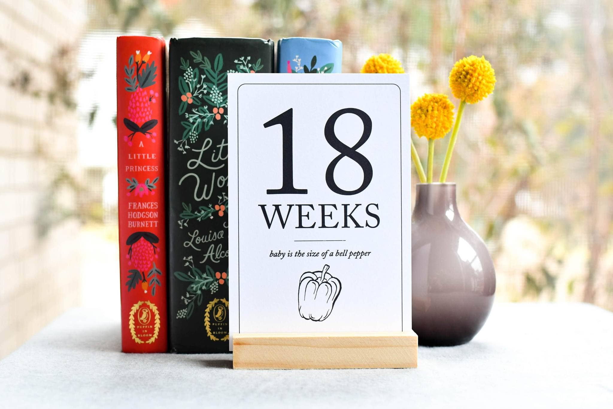 Duncan & Stone Paper Co. - Pregnancy Milestone Cards | Baby Announcement & Reveal - Gaines Jewelers