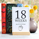 Duncan & Stone Paper Co. - Pregnancy Milestone Cards | Baby Announcement & Reveal - Gaines Jewelers