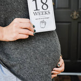 Duncan & Stone Paper Co. - Pregnancy Milestone Cards | Baby Announcement & Reveal - Gaines Jewelers