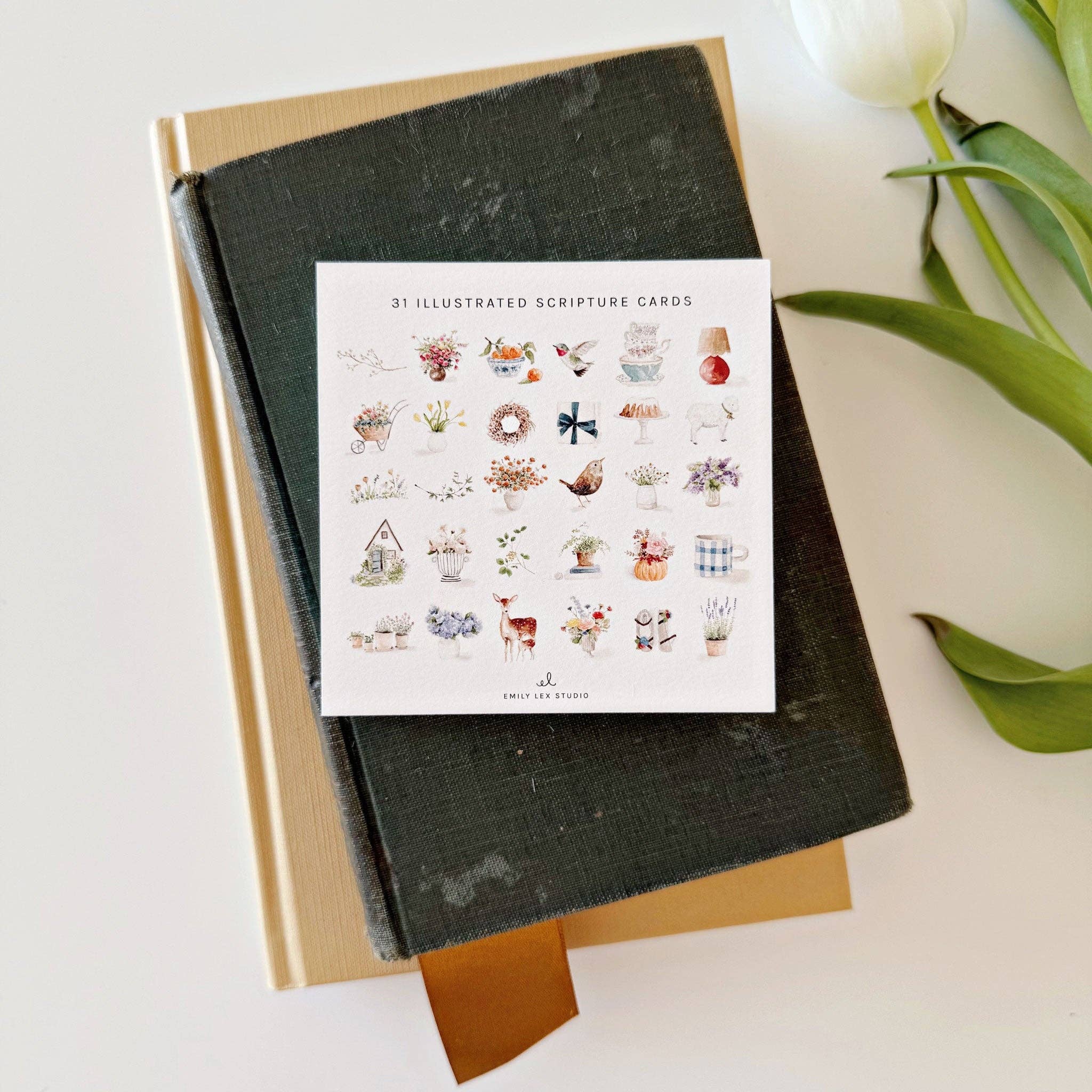 emily lex studio - Truth for today psalms cards - Gaines Jewelers