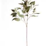 Eucalyptus seed stem 41" - Napa Home & Garden - Gaines Jewelers