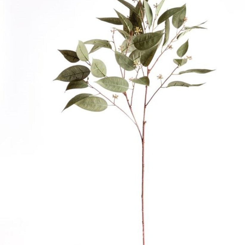 Eucalyptus seed stem 41" - Napa Home & Garden - Gaines Jewelers