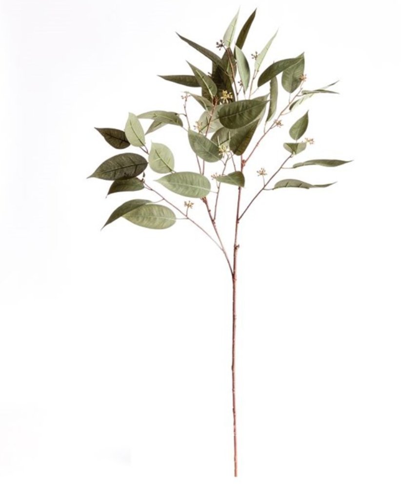 Eucalyptus seed stem 41" - Napa Home & Garden - Gaines Jewelers