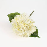 Faux Hydrangea Pick - Cream - 13 Inch - Mills Floral Company - Gaines Jewelers