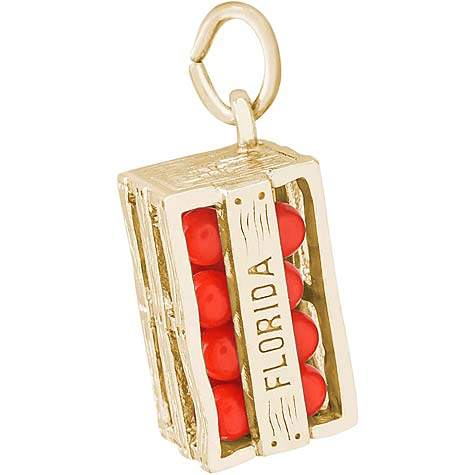 Florida Oranges Charm - Gold Plated - Rembrandt Charms - Gaines Jewelers