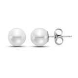 Fresh Water Pearl 8 - 8.5mm Stud Earring 14k White Gold - Mastoloni - Gaines Jewelers