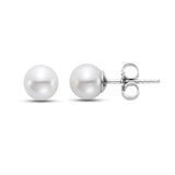 Fresh Water Pearl Studs 6 - 6.5mm 14kt White Gold - Mastoloni - Gaines Jewelers