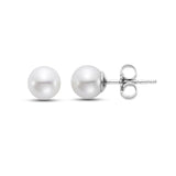 Fresh Water Pearl Studs 6.5 - 7mm 14kt White Gold - Mastoloni - Gaines Jewelers