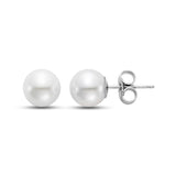 Fresh Water Pearl Studs 7 - 7.5mm 14kt White Gold - Mastoloni - Gaines Jewelers