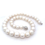 Fresh water strand of pearls, 10 - 14mm, slightly graduated in 14kt white gold by Mastoloni - Gaines Jewelers