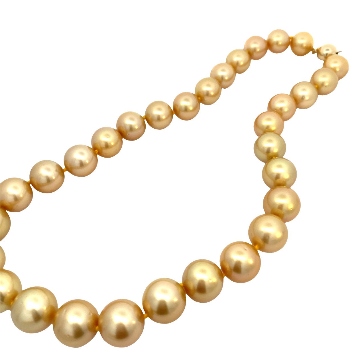 Golden pearls, South Sea, 12 - 14mm, in 14kt yellow gold by Mastoloni - Gaines Jewelers