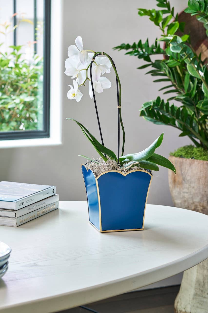 Gracie Scarlett Square Cachepot Planter Blue: Blue / 6 inch - Jaye's Studio - Gaines Jewelers