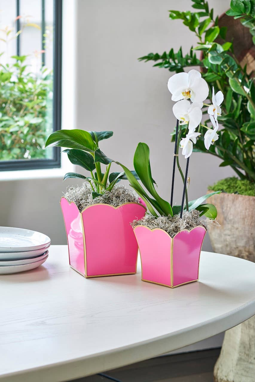 Gracie Scarlett Square Cachepot Planter Pink: Pink / 8 inchGracie Scarlett Square Cachepot Planter Blue: Blue / 6 inch - Jaye's Studio - Gaines Jewelers