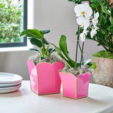 Gracie Scarlett Square Cachepot Planter Pink: Pink / 8 inchGracie Scarlett Square Cachepot Planter Blue: Blue / 6 inch - Jaye's Studio - Gaines Jewelers