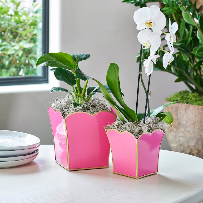Gracie Scarlett Square Cachepot Planter Pink: Pink / 8 inchGracie Scarlett Square Cachepot Planter Blue: Blue / 6 inch - Jaye's Studio - Gaines Jewelers