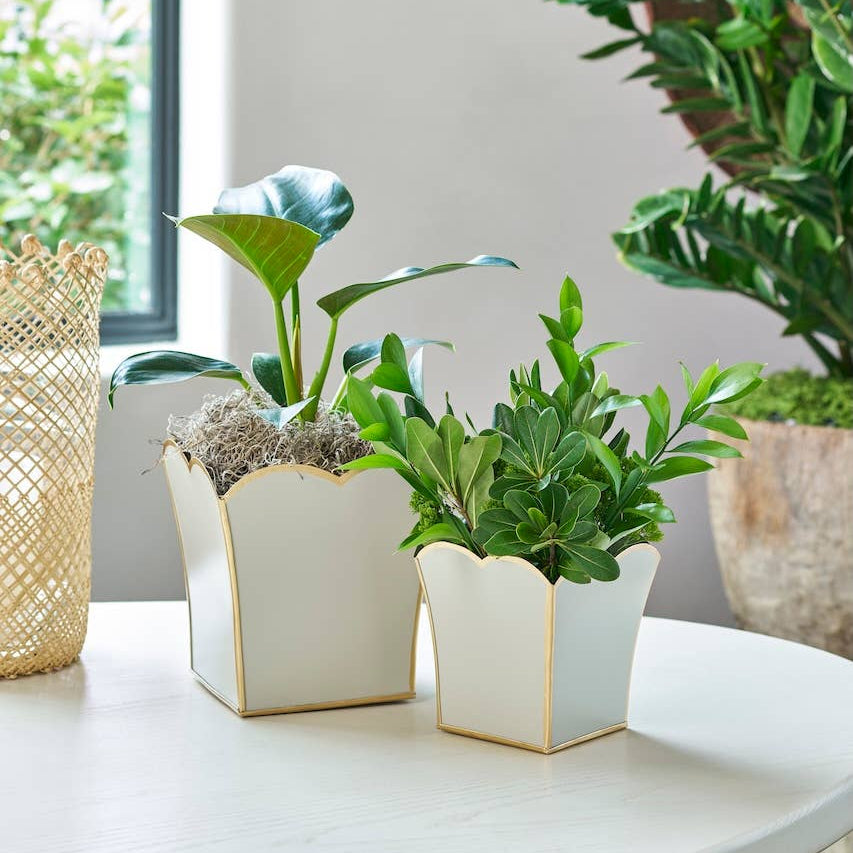 Gracie Scarlett Square Cachepot Planter White: White / 6 inchGracie Scarlett Square Cachepot Planter Blue: Blue / 6 inch - Jaye's Studio - Gaines Jewelers