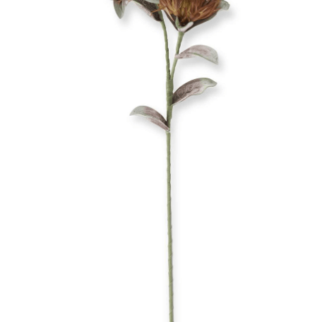 Green & Burgundy Eva Double Spike Bloom Stem 39 Inch - K&K Interiors - Gaines Jewelers