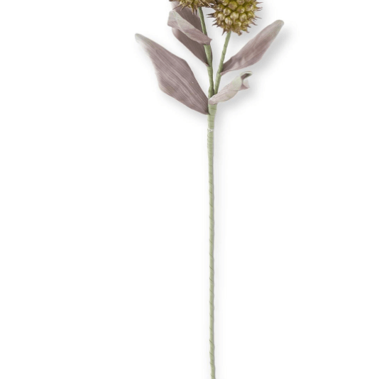 Green & Burgundy Eva Double Spike Pod Stem 38 Inch - K&K Interiors - Gaines Jewelers