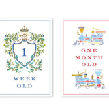 Joys of Boys Milestone Cards - Dogwood Hill - Gaines Jewelers