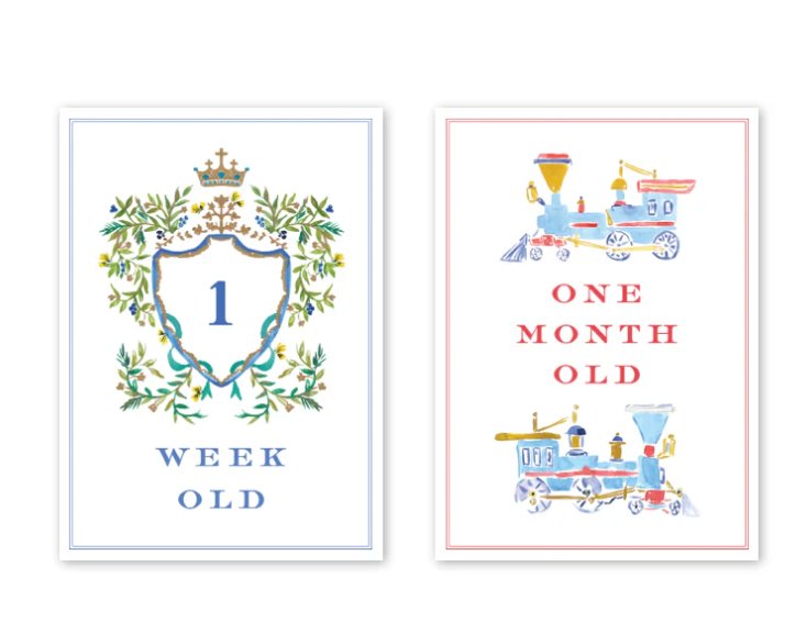 Joys of Boys Milestone Cards - Dogwood Hill - Gaines Jewelers