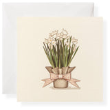 Karen Adams Designs - Paperwhites Individual Gift Enclosure - Gaines Jewelers