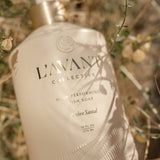 L'AVANT Collective - High Performing Dish Soap Ambre Santal - Gaines Jewelers