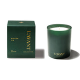 L'AVANT Collective - Winter Fir Candle - Gaines Jewelers