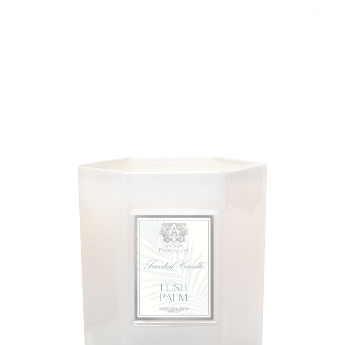 Lush Palm 9oz Candle - Antica - Gaines Jewelers