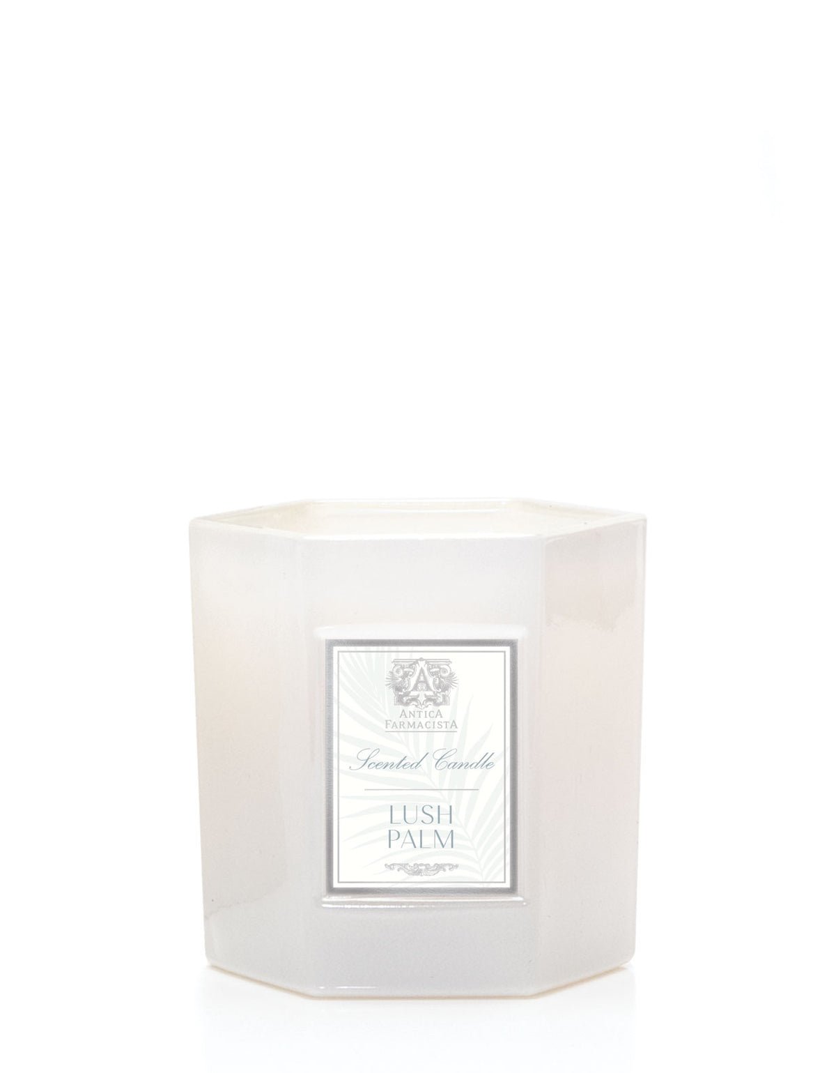 Lush Palm 9oz Candle - Antica - Gaines Jewelers