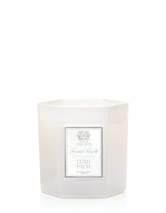 Lush Palm 9oz Candle - Antica - Gaines Jewelers