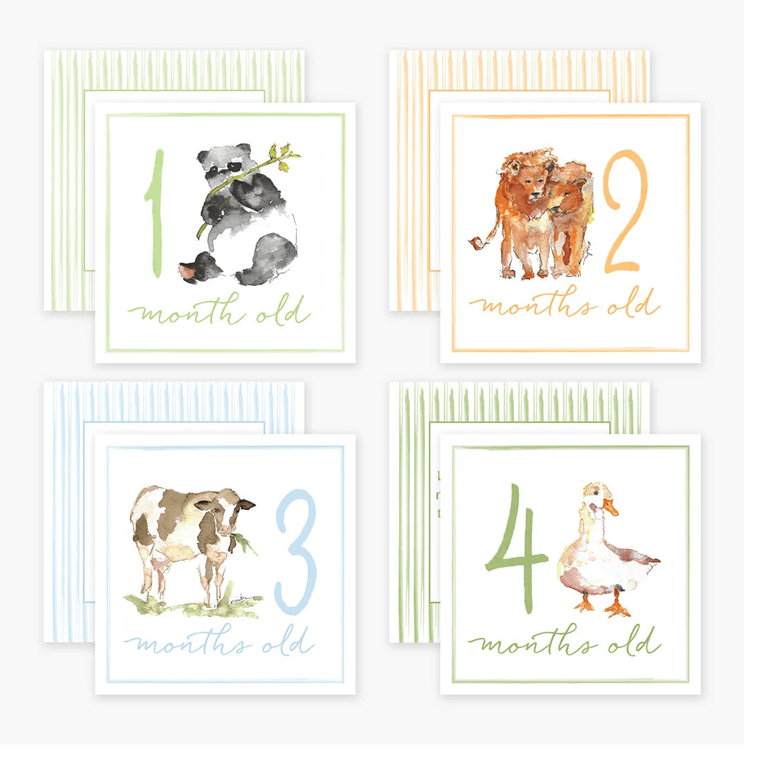 Milestone Cards - Anne Neilson Home - Gaines Jewelers