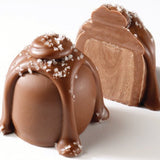 Milk Sea Salt Caramel Truffle - Sweet Shops USA - Gaines Jewelers
