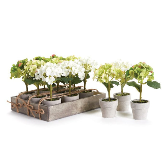 Mini Potted Hydrangeas 7" - Set of 3 - Napa Home & Garden - Gaines Jewelers