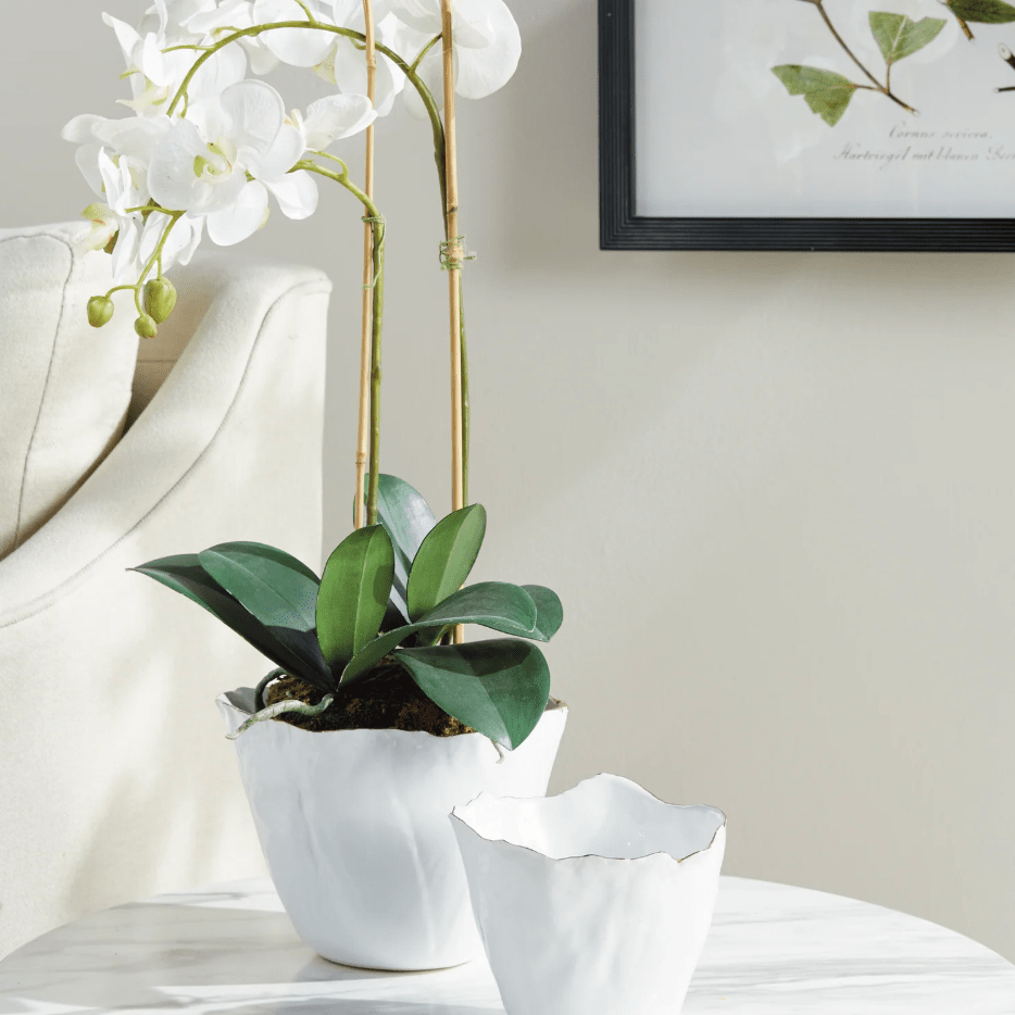 Mirabella Cahepot 7.5" - Napa Home & Garden - Gaines Jewelers