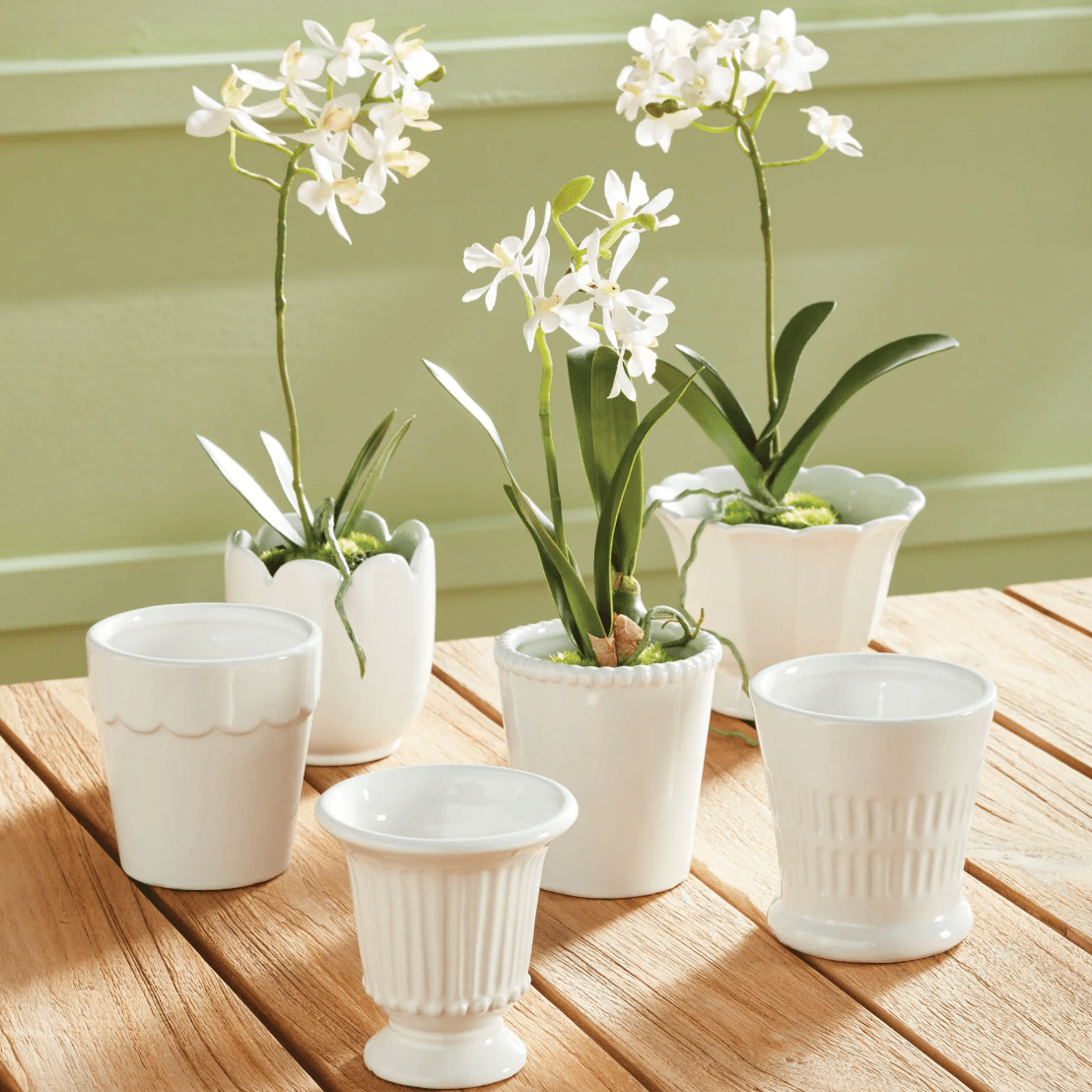 Mirabelle Mini Pots Assorted - Napa Home & Garden - Gaines Jewelers
