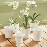 Mirabelle Mini Pots Assorted - Napa Home & Garden - Gaines Jewelers