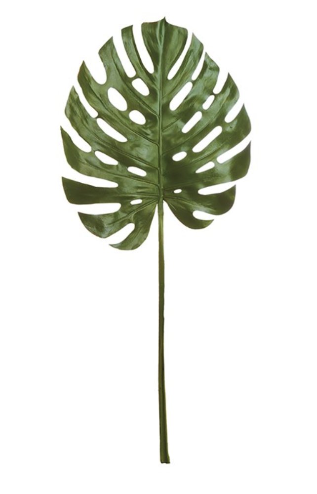 Monstera Leaf Stem 49" - Napa Home & Garden - Gaines Jewelers