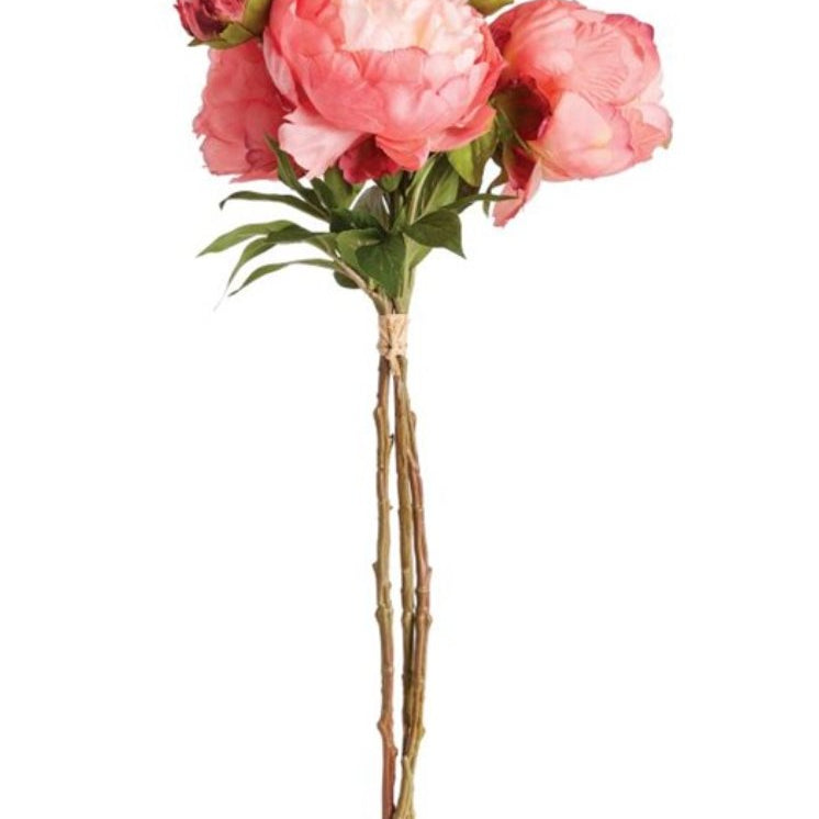 Peonies 21" - Bundle of 3 - Napa Home & Garden - Gaines Jewelers