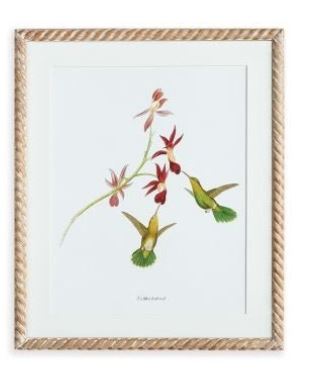 Playful Hummingbird Print - Gaines Jewelers