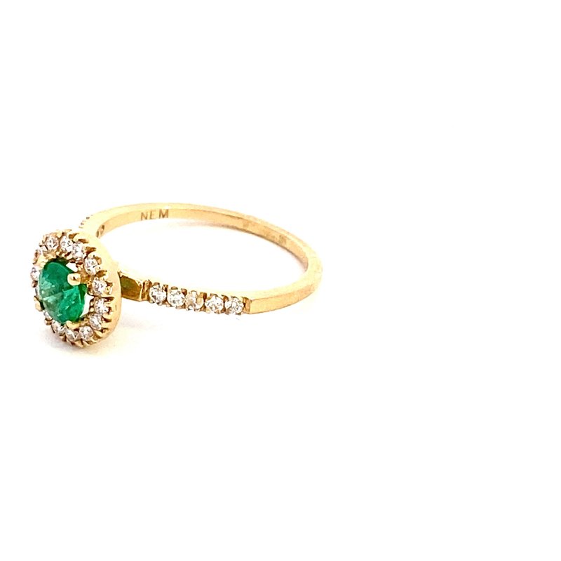 Ring- 14k Yellow Gold Emerald with diamond Halo and shank 1 dia halo shank - Gaines Jewelers