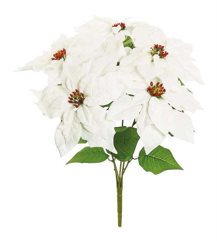 Select Artificials, Inc. - Velvet Poinsettia Bush X5, 17", 9" Bloom, White - Gaines Jewelers