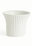 Senora Mini Cachepots Version 6 - Napa Home & Garden - Gaines Jewelers