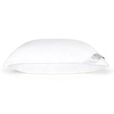Sferra Arcadia Standard Soft Pillow - Gaines Jewelers