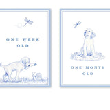 Snips and Snails Milestone Cards - Dogwood Hill - Gaines Jewelers