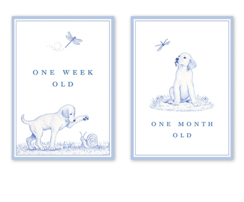 Snips and Snails Milestone Cards - Dogwood Hill - Gaines Jewelers