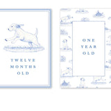 Snips and Snails Milestone Cards - Dogwood Hill - Gaines Jewelers