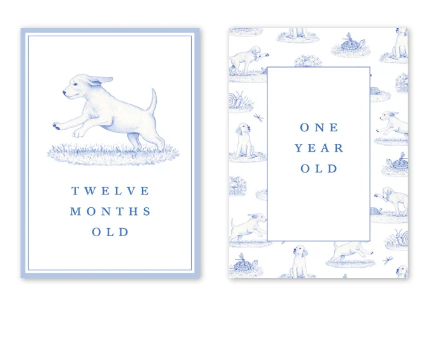 Snips and Snails Milestone Cards - Dogwood Hill - Gaines Jewelers