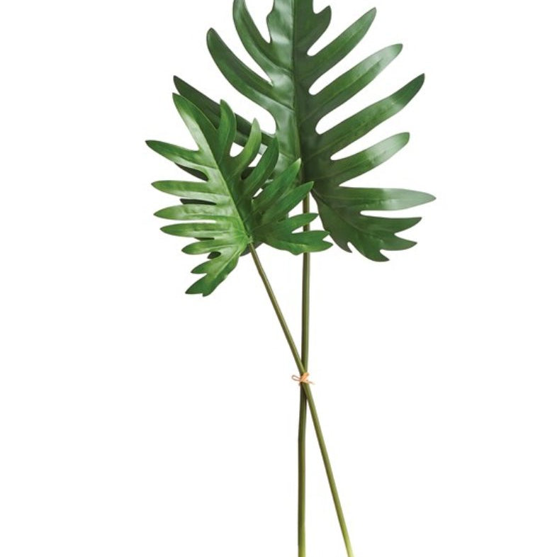 Split Leaf Selloum Stems Bundle of 2 - Napa Home & Garden - Gaines Jewelers