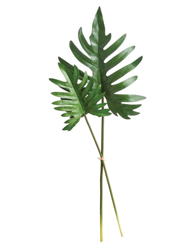 Split Leaf Selloum Stems Bundle of 2 - Napa Home & Garden - Gaines Jewelers