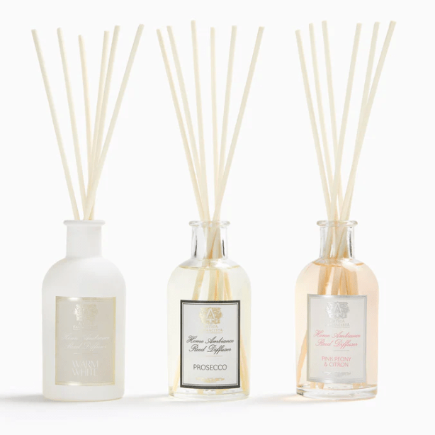 Spring Trio - Prosecco, Warm White, Pink Peony - Antica - Gaines Jewelers